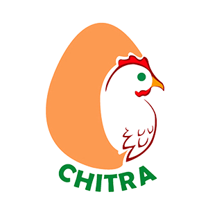 chitra